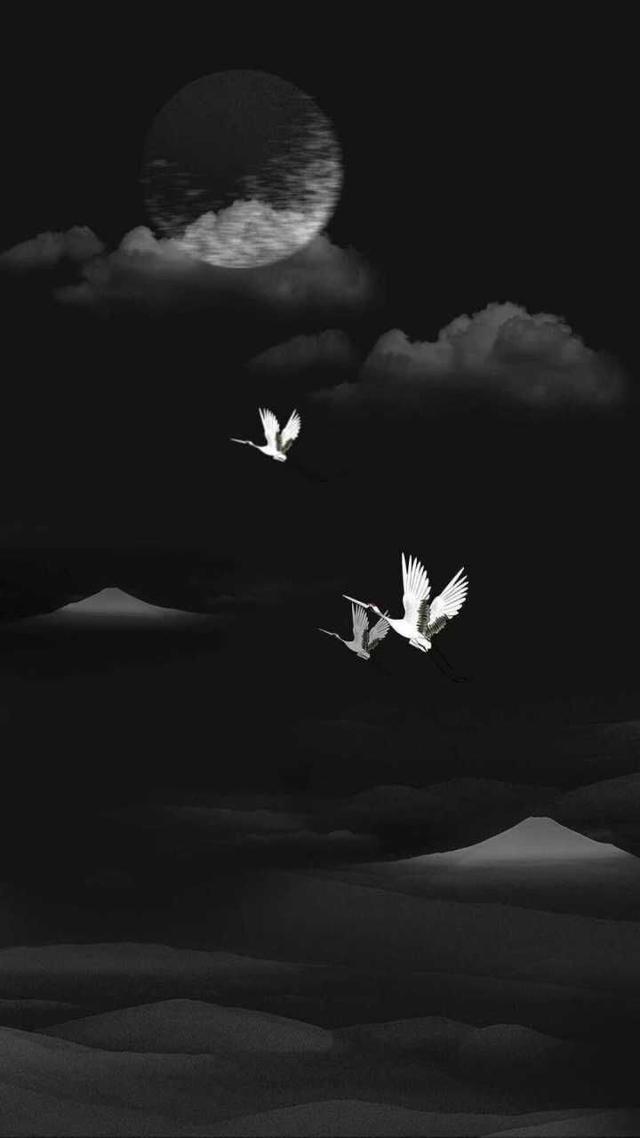 美到极致的句子，形容仙女美到极致的句子（20条美到窒息的句子）