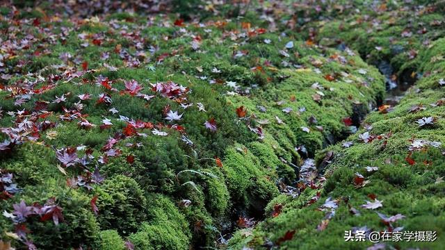 如何选择uv镜，怎么选择uv镜（CPL偏光镜、ND减光镜、UV镜如何选）