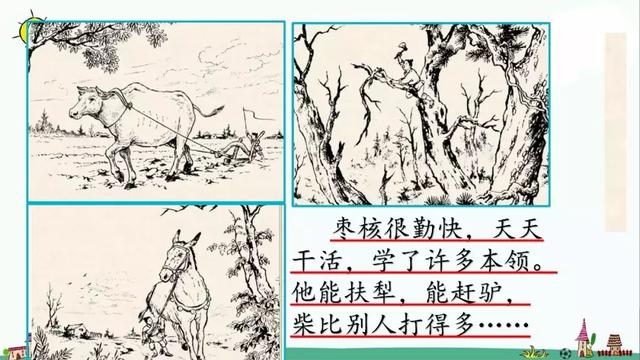 无理取闹的近义词，高冷任性无理取闹的近义词有哪些（部编版三年级语文下册课文28《枣核》知识点+图文解读）