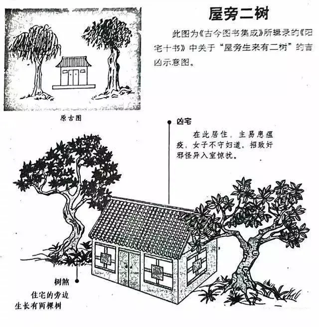 家居風水知識大全（家居風水與身體疾?。? title=
