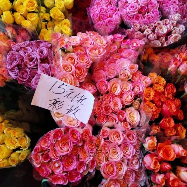 荷花最好看的品种是什么，这花最好看、最好养