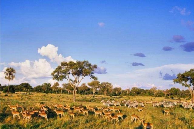 求本重生到国外的都市小说，重生成为外国人的都市小说（六本都市连载小说）