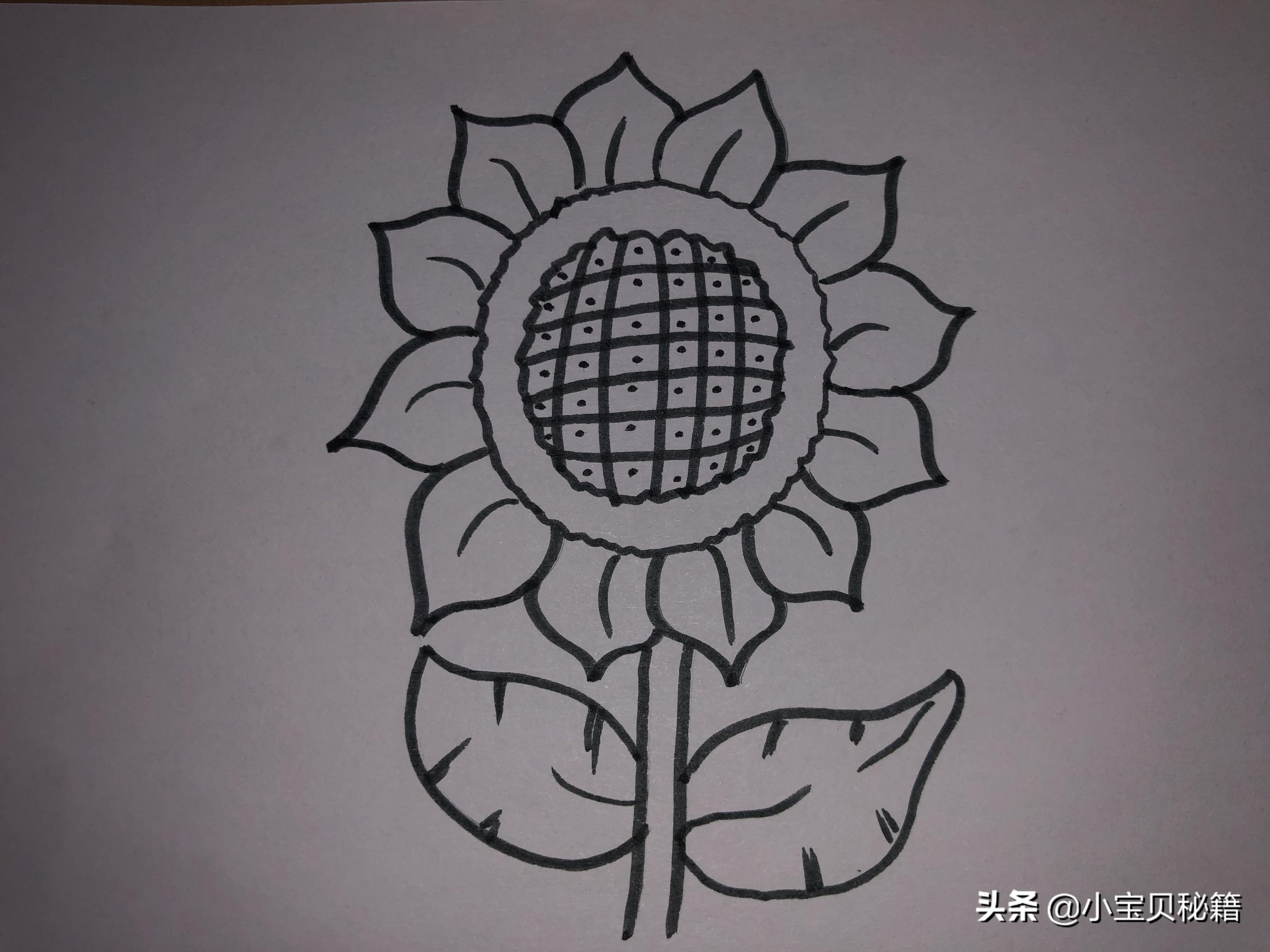 向日葵简笔画简单(一幅向日葵的画)-米亚号