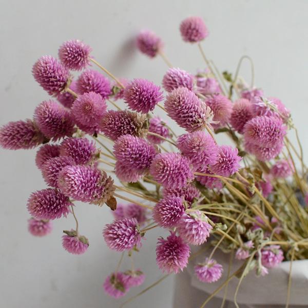 铃兰花的花语，从此买花送人不出错（铃兰花的花语与寓意）