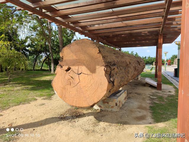 关于中国地质博物馆介绍，中国地质博物馆在哪个区（在烟台认识和了解自然与地质现象的好去处）