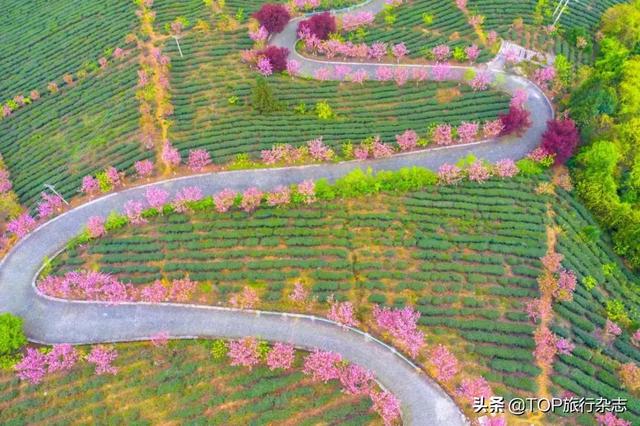 乡村道路名称大全，村庄道路名称大全（全国“十大最美农村路”“最具人气路”出炉）