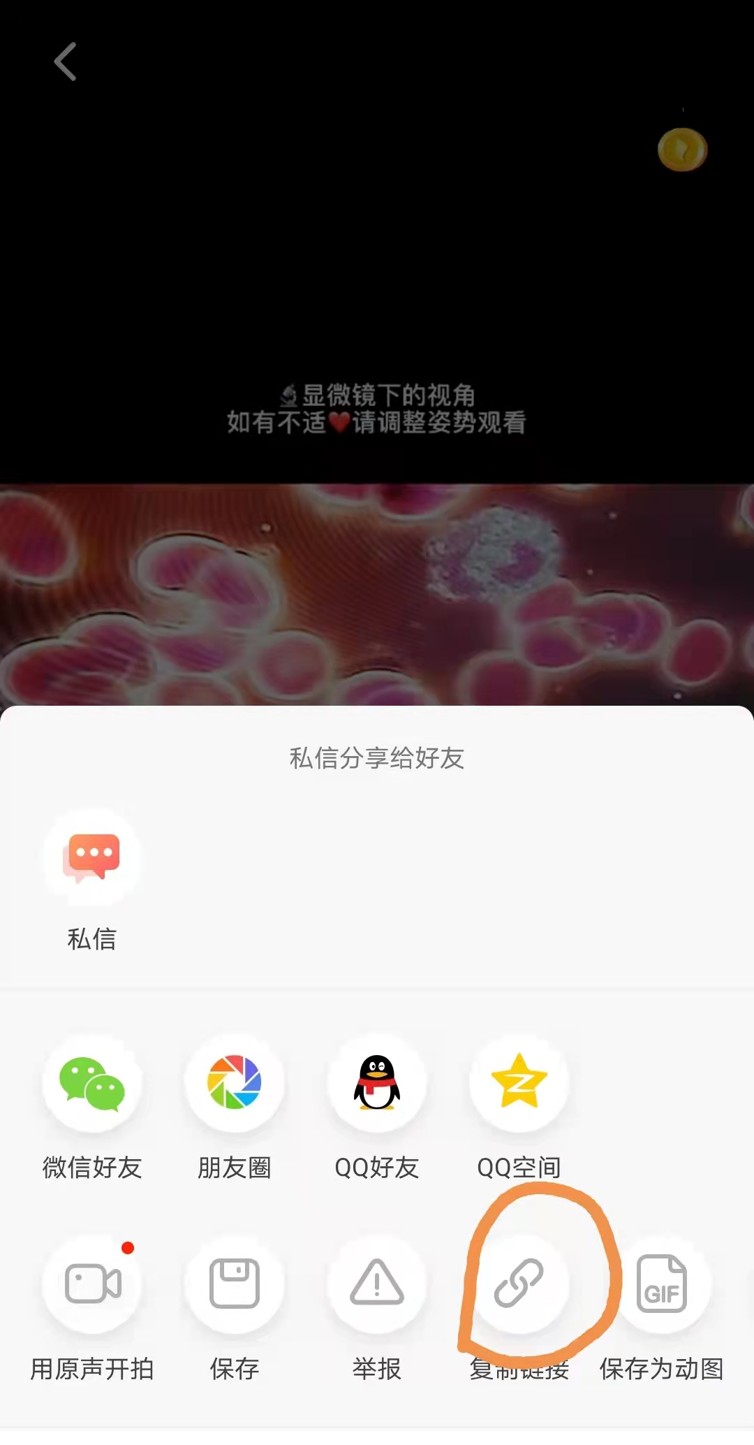 火山视频官网(火山视频完整版下载)插图(1)