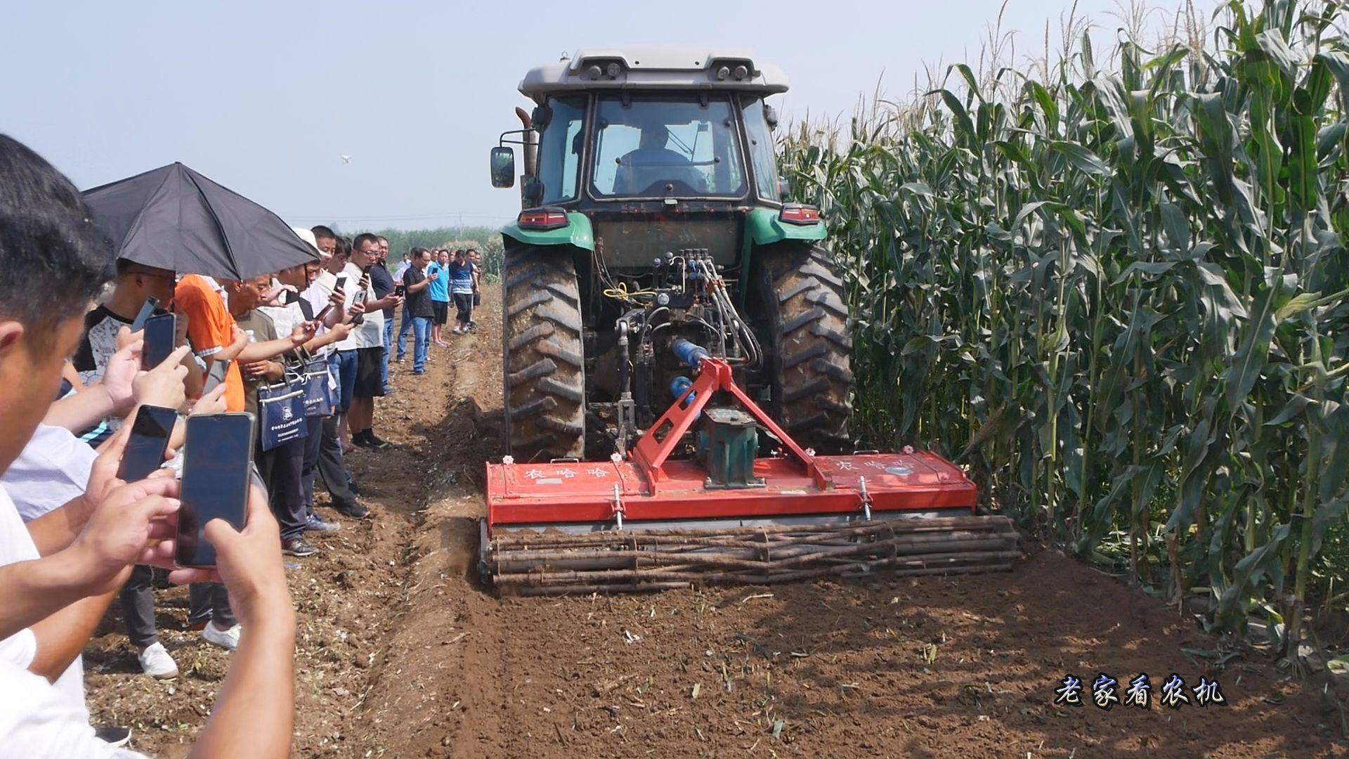 旋地机多少钱(老农们喜欢的旋耕机) - 价格百科