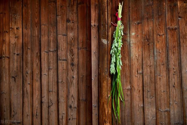 festival是什么意思，festival怎么读（Festival>安康）