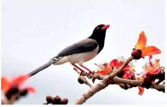 巨大财运来临的前兆，巨大财运来临的前兆有哪些（遇到的人难逃一夜暴富~）