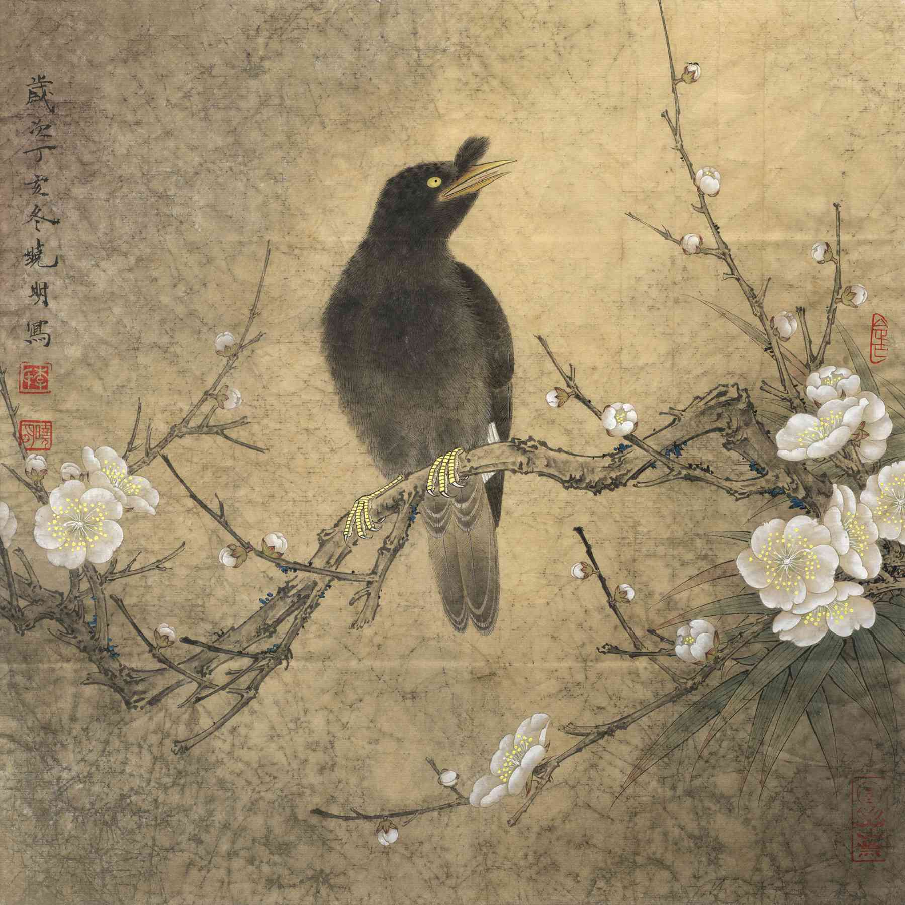 工笔花鸟画图片(李晓明工笔花鸟图) - 赤虎壹号
