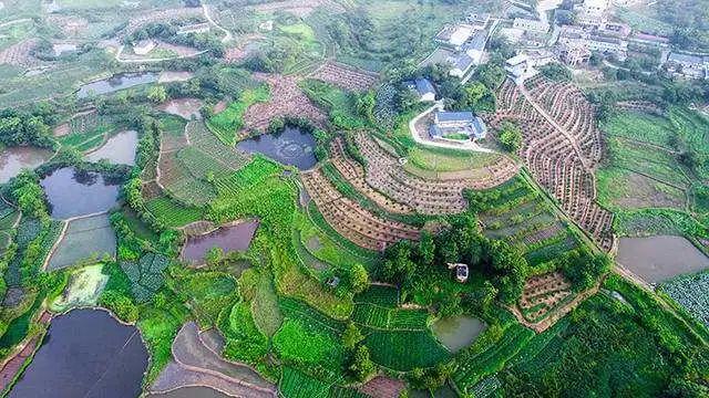 什么是红色旅游，什么是红色旅游产品（红色旅游的四个主流模式）