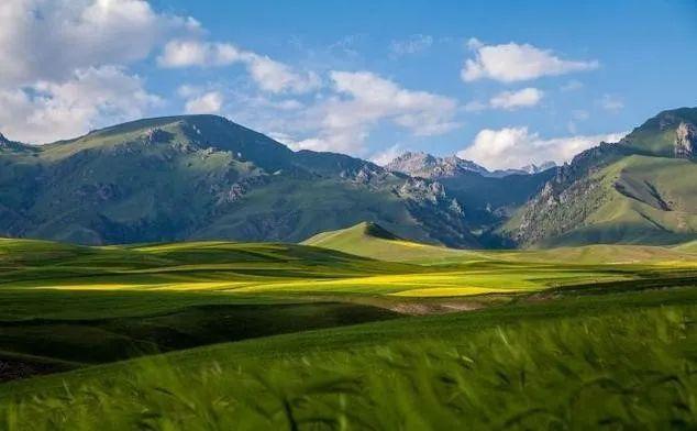 不动产是什么意思，不动产权证是什么意思（观点，明确不动产的概念）