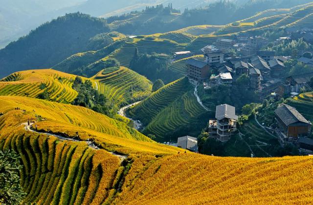 干饭是什么意思，网络词干饭是什么意思（中国干饭地图：天南海北）