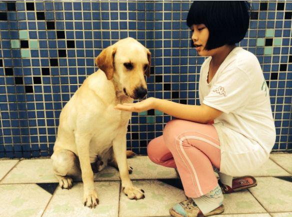 狗狗可以吃蛋黄吗，狗狗可以吃蛋黄吗能够吃多少呢（狗狗摄入蛋黄过量易诱发肾衰）