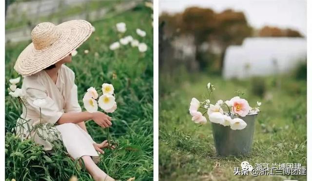 团建项目有哪些，在宿舍的团建项目有哪些（最适合秋天的五大团建项目）