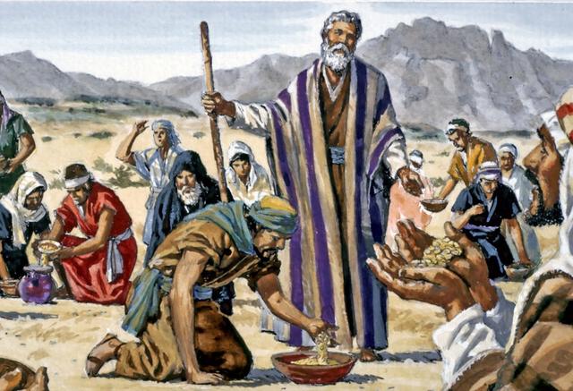 所罗门是什么意思，箴言是什么意思（犹太人和以色列人究竟是不是一回事）