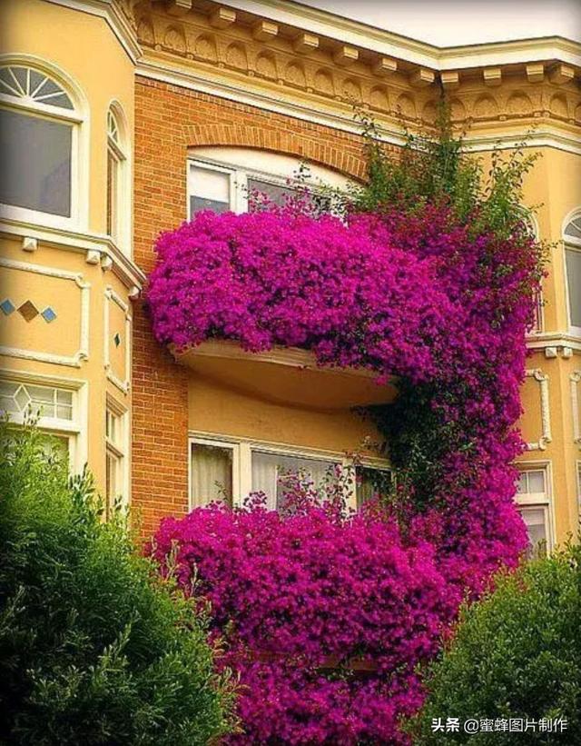 呼伦贝尔大草原图片，内蒙古呼伦贝尔草原最美景色（壁纸美图，呼伦贝尔大草原风光）