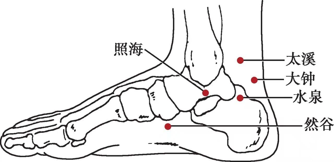 照海准确位置图片图解图片