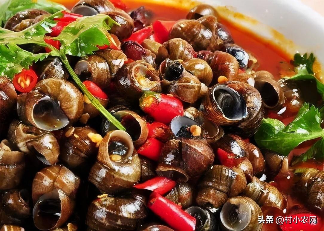 养什么赚钱()