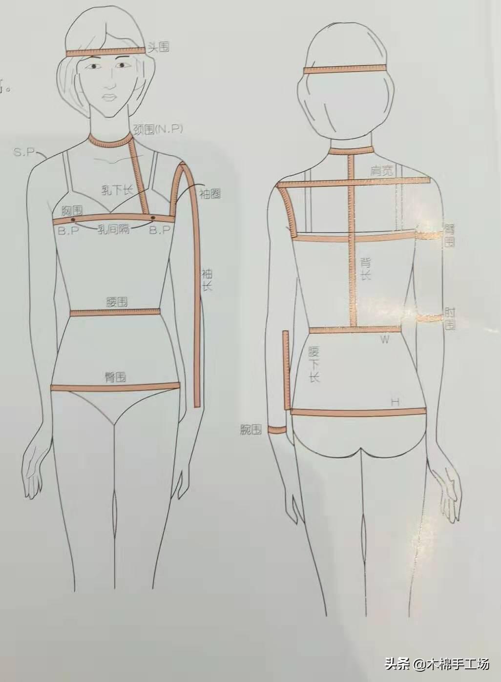 肩宽是量一圈还是一半，测量肩宽的正确方法图解