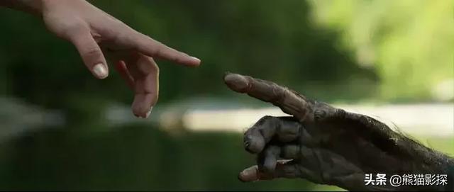 超体2什么时候上映，超体几部啊（超体1票房大爆）