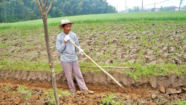 取暖煤多少钱一吨，一吨煤炭多少钱（取暖煤700元一吨涨至2000元）