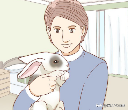 小白兔用什么辨别气味，小白兔的气味是什么味道（邻居小妹抓了一只兔子不知道怎么养）