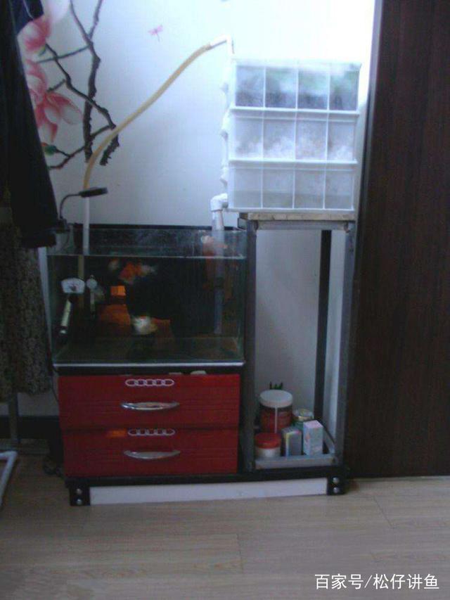 陶瓷鱼缸怎样做过滤，陶瓷鱼缸怎样做过滤器（鱼缸滴流过滤DIY全过程）