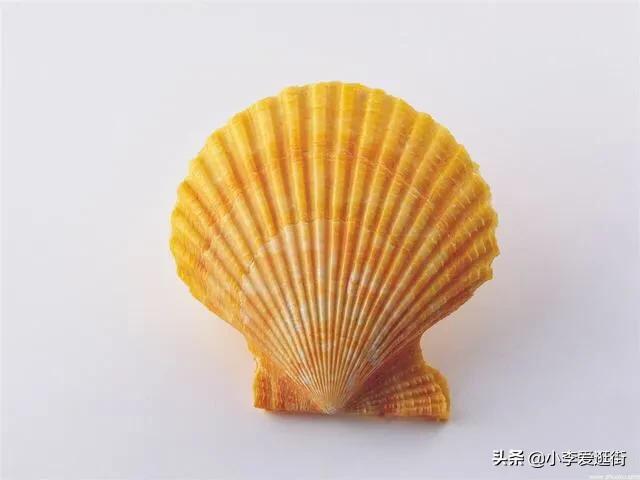 贝壳链家德佑三者是什么关系，链家与德佑还在傻傻分不清吗