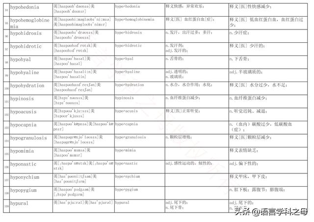 国民homo什么意思，homolive什么梗（总结了367个以hyper、240个以hypo前缀、106个以homo前缀的单词）