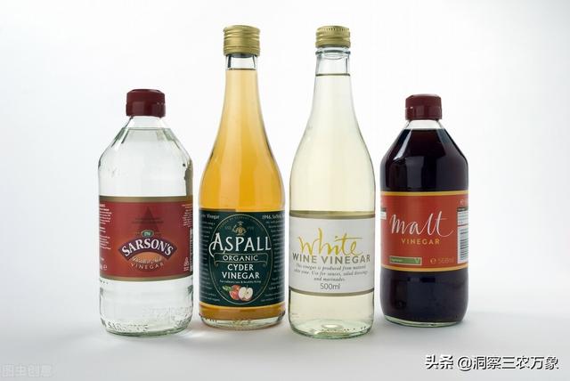 白醋勾兑醋的妙用，其实正确用白醋浇花可使花长得更好看