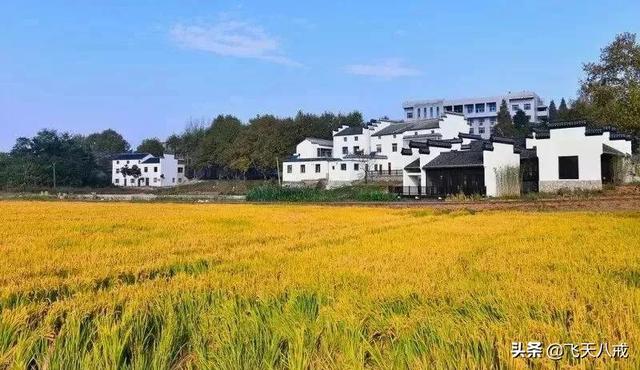 南京景点介绍，南京一日游必去景点推荐（南京九个不得不去的小众景点）