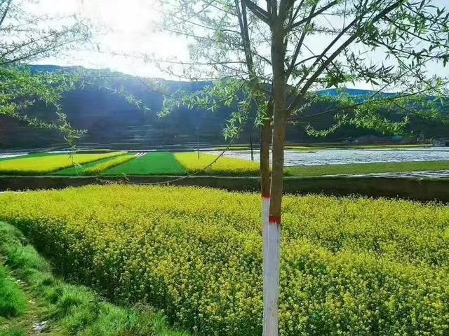 相思引，相思引浮生梦小说（相思引诗词大全）