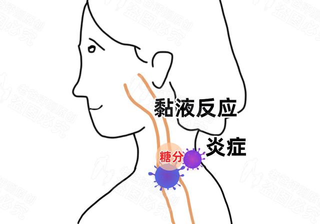 橘子和牛奶能一起吃吗，橘子牛奶可以一起吃吗（橘子家族这错综复杂的混乱私生活）