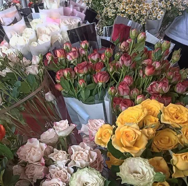 ins背景图，ins背景图简约（惊艳访客的ins风小众背景图）