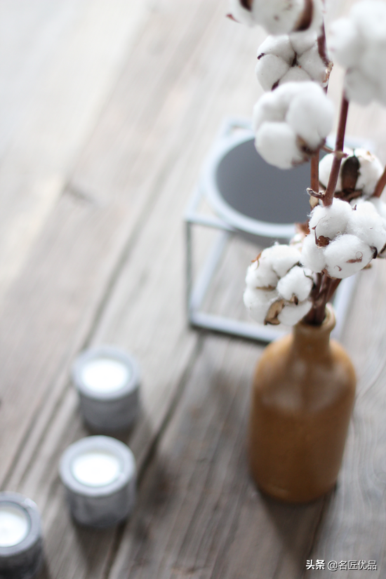 棉花花语和寓意是什么，棉花花语（花店老板娘手中的棉花）