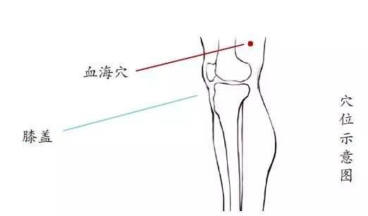 三阴交穴位位置，三阴交的位置在哪里（秘诀就在这4个穴位）