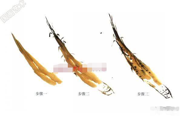 写意蔬果番茄的画法，写意蔬果画法步骤示范