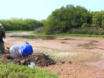中国发生过海啸吗，中国哪些地方容易发生海啸（古中国发生过海啸吗）