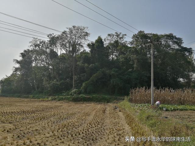 蔡伦墓张骞墓均位于哪里，武侯墓蔡伦墓张骞墓均位于什么地方（我游览陕甘100处古迹）