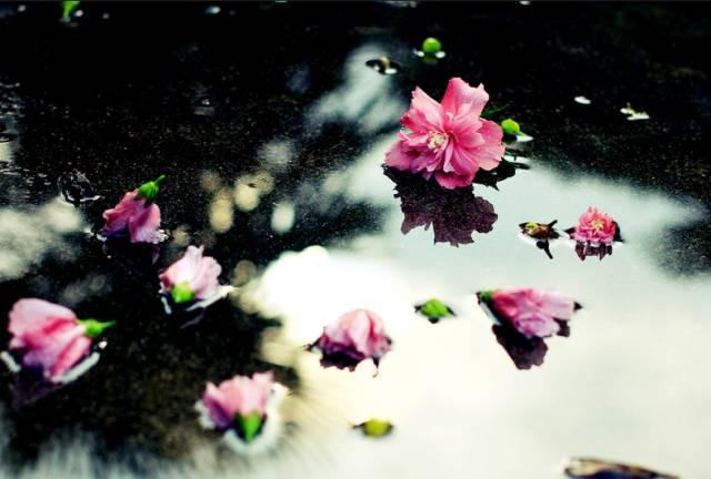 什么的神气，什么的神气填空（老子心法十诀）