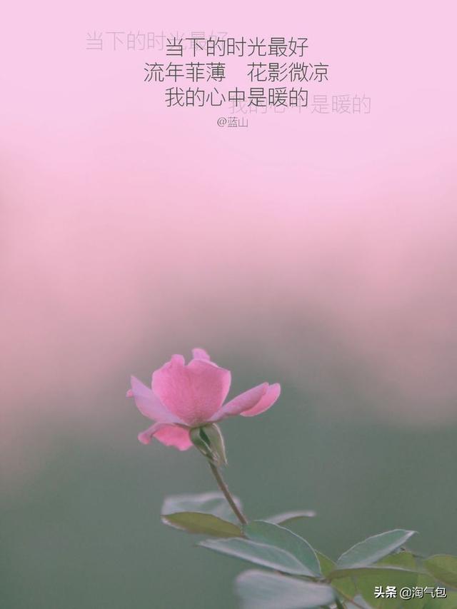 12个月都有什么情人节，二月没过情人节的今天补上