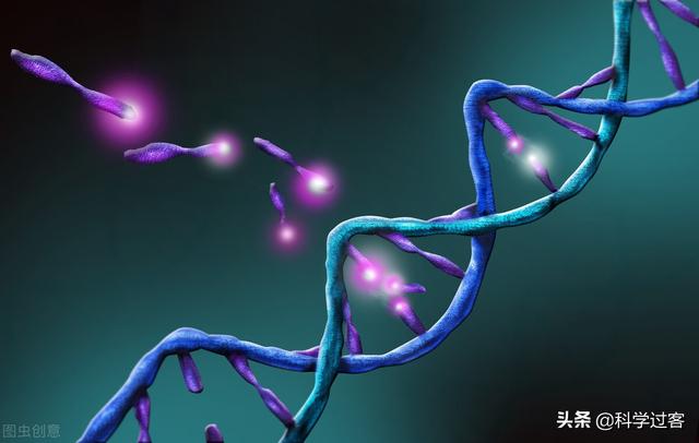 atp合成场所，ATP在哪里合成（仿生机器人、轮子和ATP合酶——漫谈仿生学）