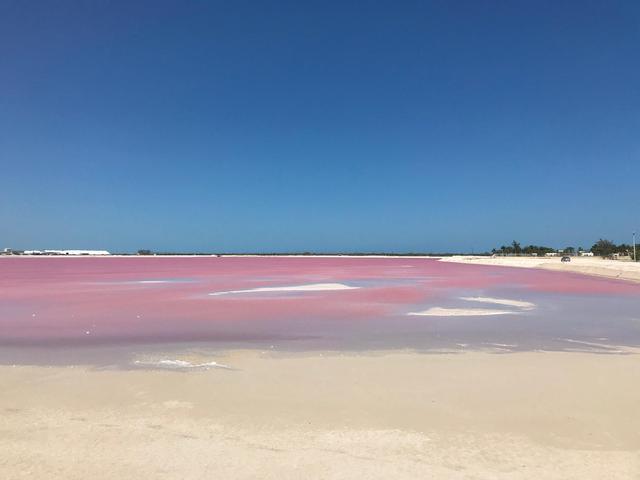 去墨西哥旅游是找死吗，墨西哥旅行危险吗（世界公认最美海滩之一）