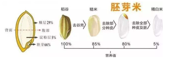 电饭锅使用方法，电饭锅怎么使用的（现在的智能电饭煲怎么使用）