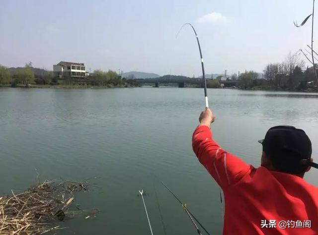渔具品牌排名，国产鱼竿十大品牌排行榜（找出5大共同点，却忍不住吐槽）