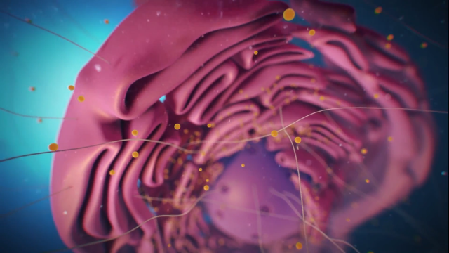 大内久83天活体腐烂图片，大内久83天活体腐烂是什么（大内久与核辐射战斗了83天）