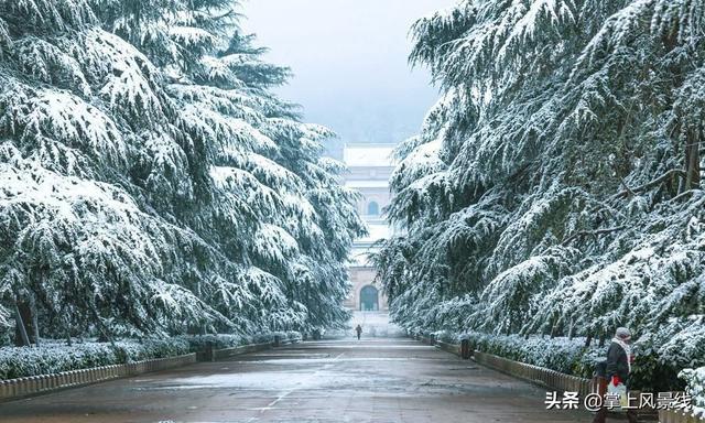 南京旅游景点，南京旅游景点排行榜前十名（推荐：南京八大免费景点）