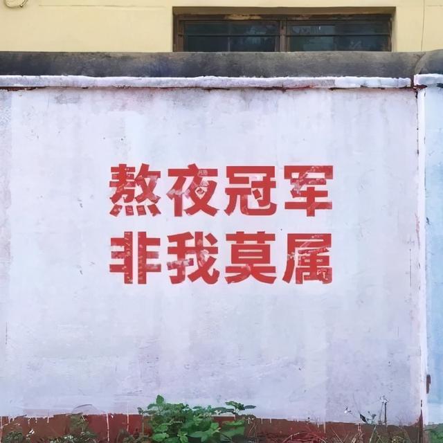 微信好看的背景图，微信朋友圈最好看背景图（个性、沙雕、励志文字控）